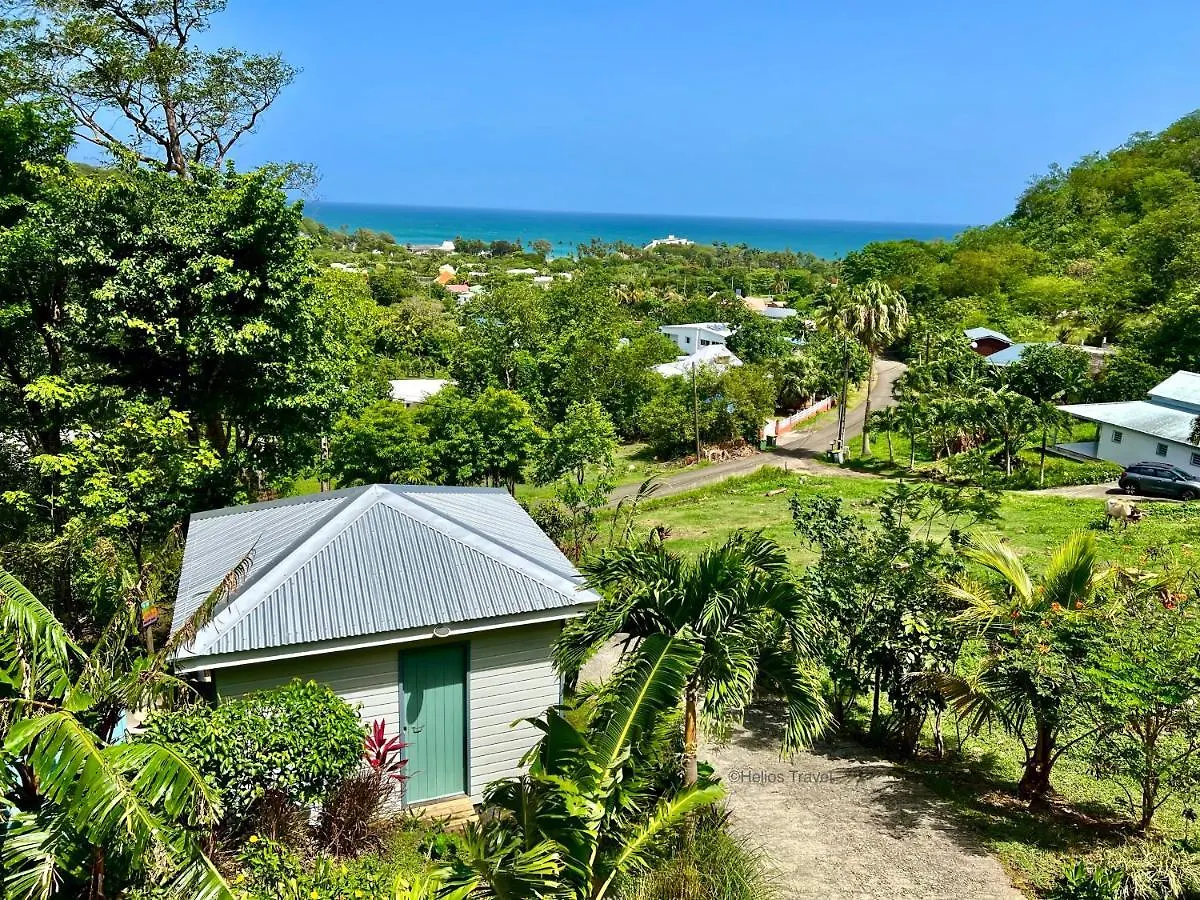 Le Surf Lodge, chambre avec vue mer dans un écrin de verdure Deshaies Maison d'hôtes